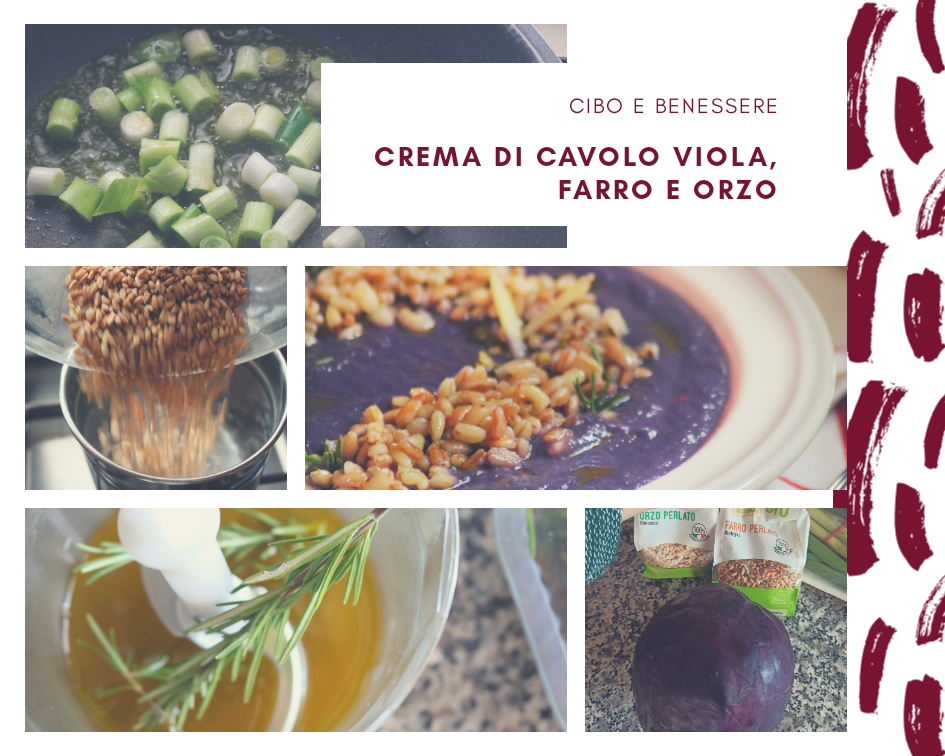 Crema di cavolo viola, farro e orzo