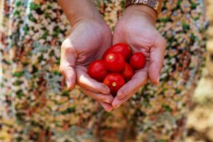 Perché il cibo è simbolo di identità culturale?